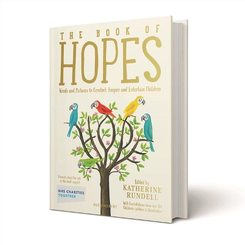 The Book Of Hopes: Words And Pictures To Comfort, Inspire And Entertain/Product Detail/Childrens Fiction Books
