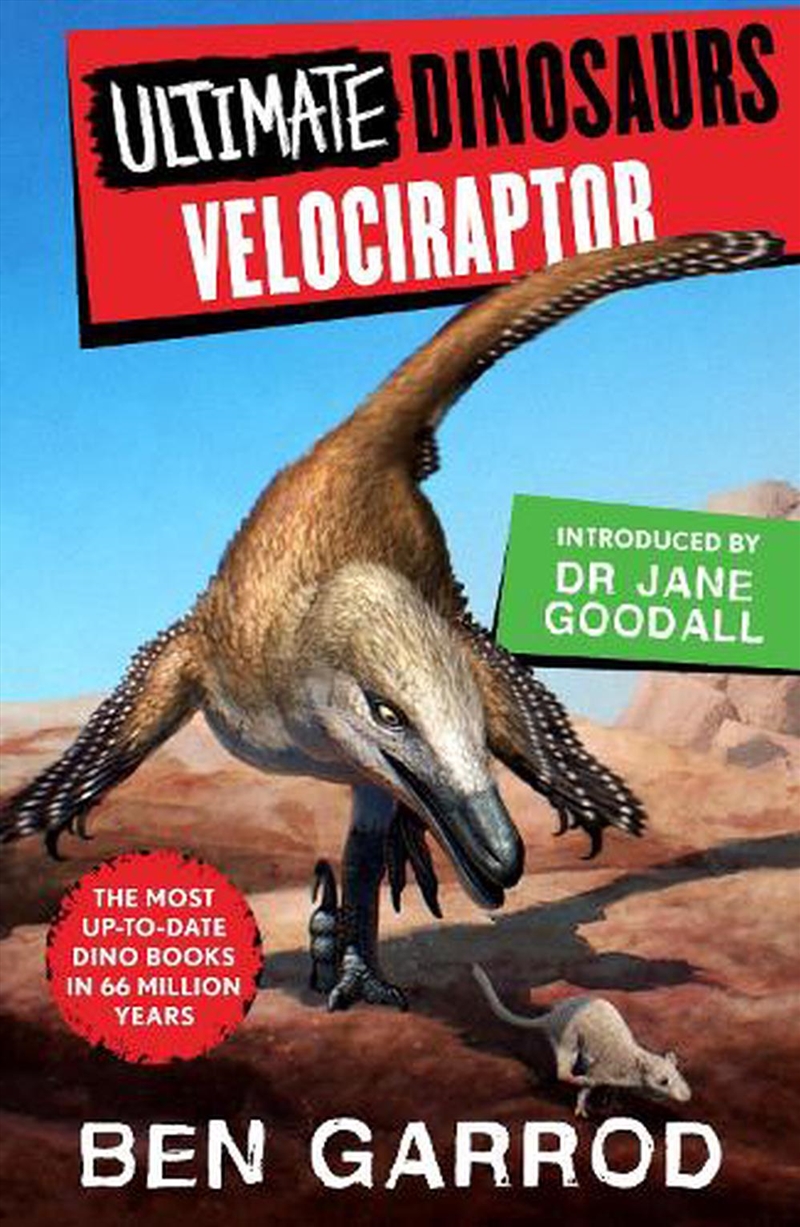 Velociraptor/Product Detail/Childrens