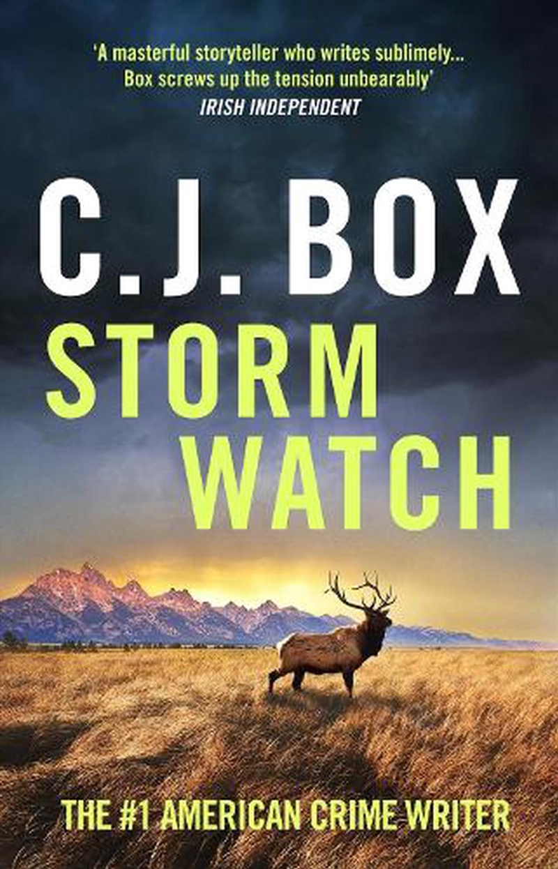 Storm Watch/Product Detail/Crime & Mystery Fiction