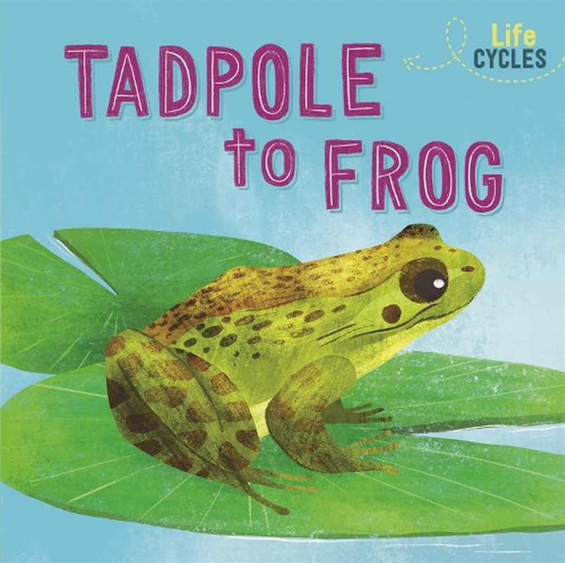 Life Cycles: From Tadpole To F/Product Detail/Kids Educational