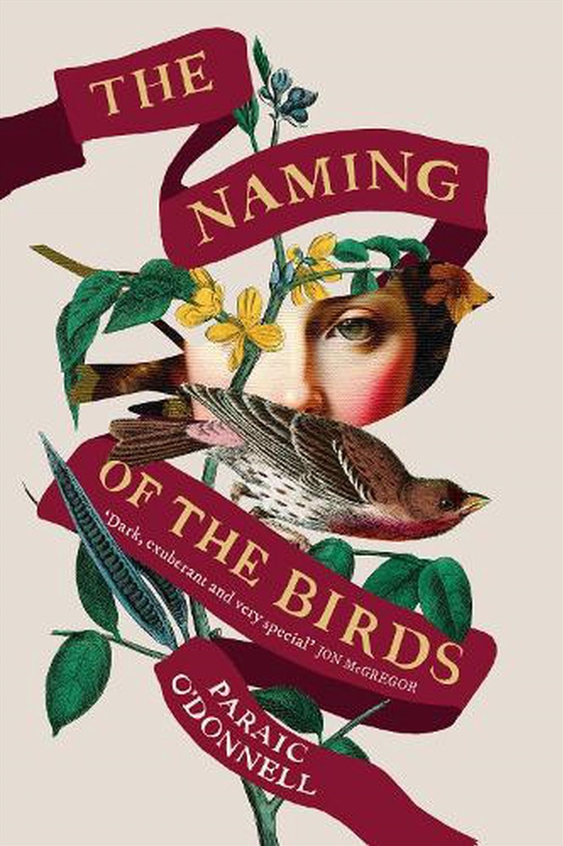 The Naming of the Birds/Product Detail/Modern & Contemporary