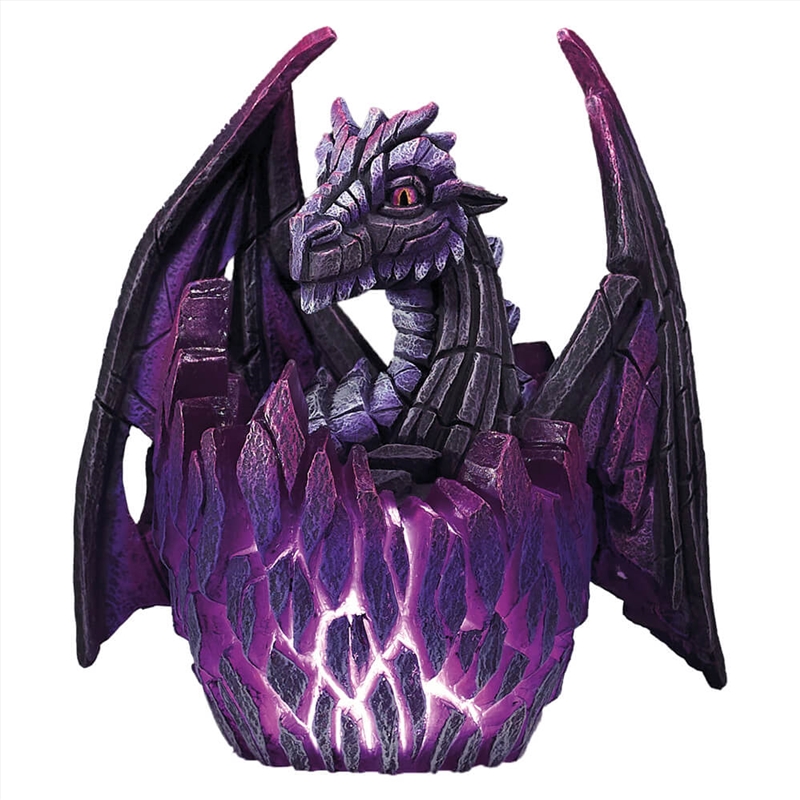 Edge Lit Dragon Egg - Purple/Product Detail/Figurines