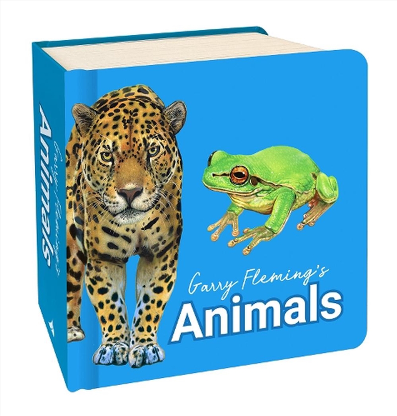 Chunky Board Book - GF - Animals/Product Detail/Early Childhood Fiction Books