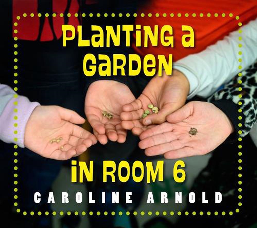 Planting A Garden In Room 6/Product Detail/Childrens Fiction Books