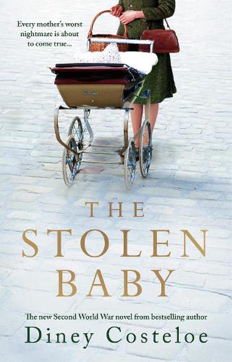 Stolen Baby/Product Detail/Historical Fiction