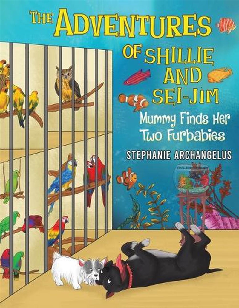 Adventures Of Shillie & Seijim Mummy Fin/Product Detail/Childrens Fiction Books