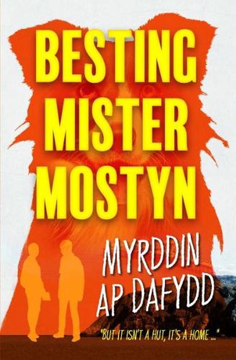Besting Mister Mostyn/Product Detail/Childrens Fiction Books