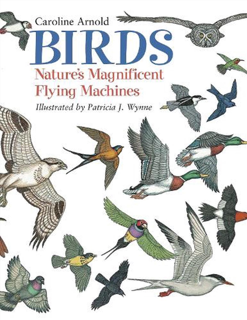 Birds/Product Detail/Childrens Fiction Books