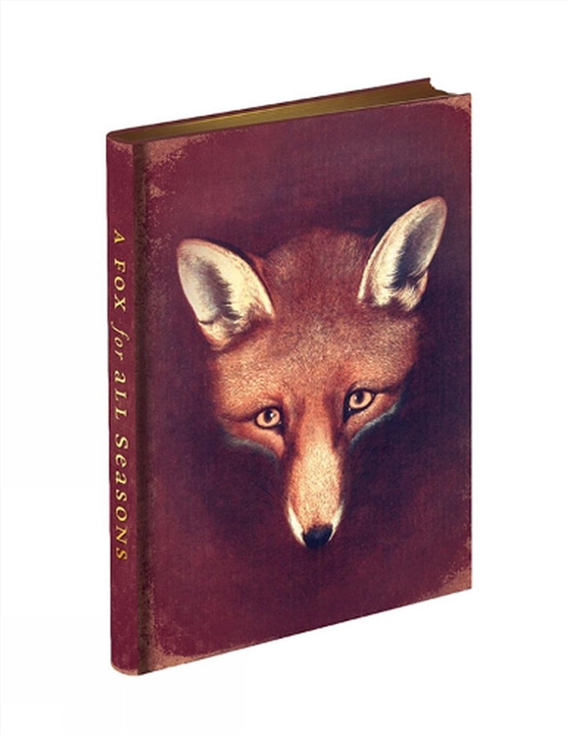 Fox For All Seasons Journal/Product Detail/Childrens Fiction Books