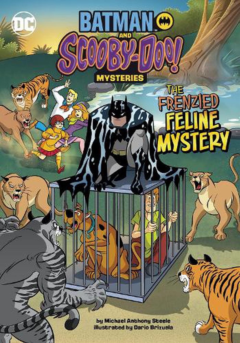 Frenzied Feline Mystery/Product Detail/Childrens Fiction Books