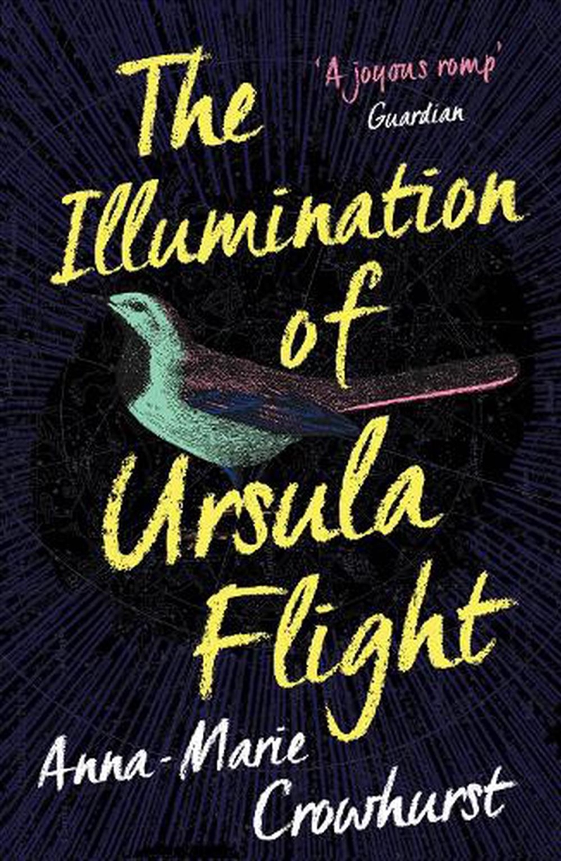 Illumination Of Ursula Flight/Product Detail/Historical Fiction
