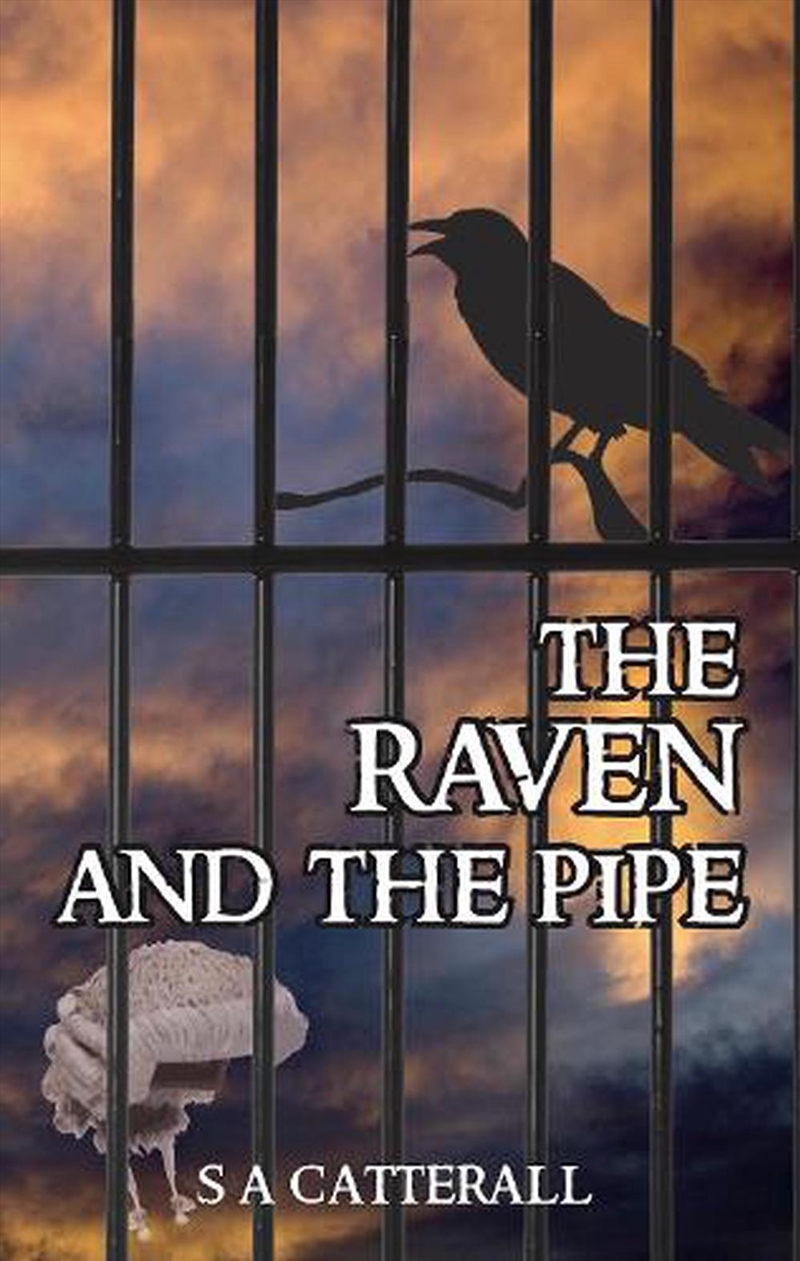 Raven & The Pipe The/Product Detail/Historical Fiction