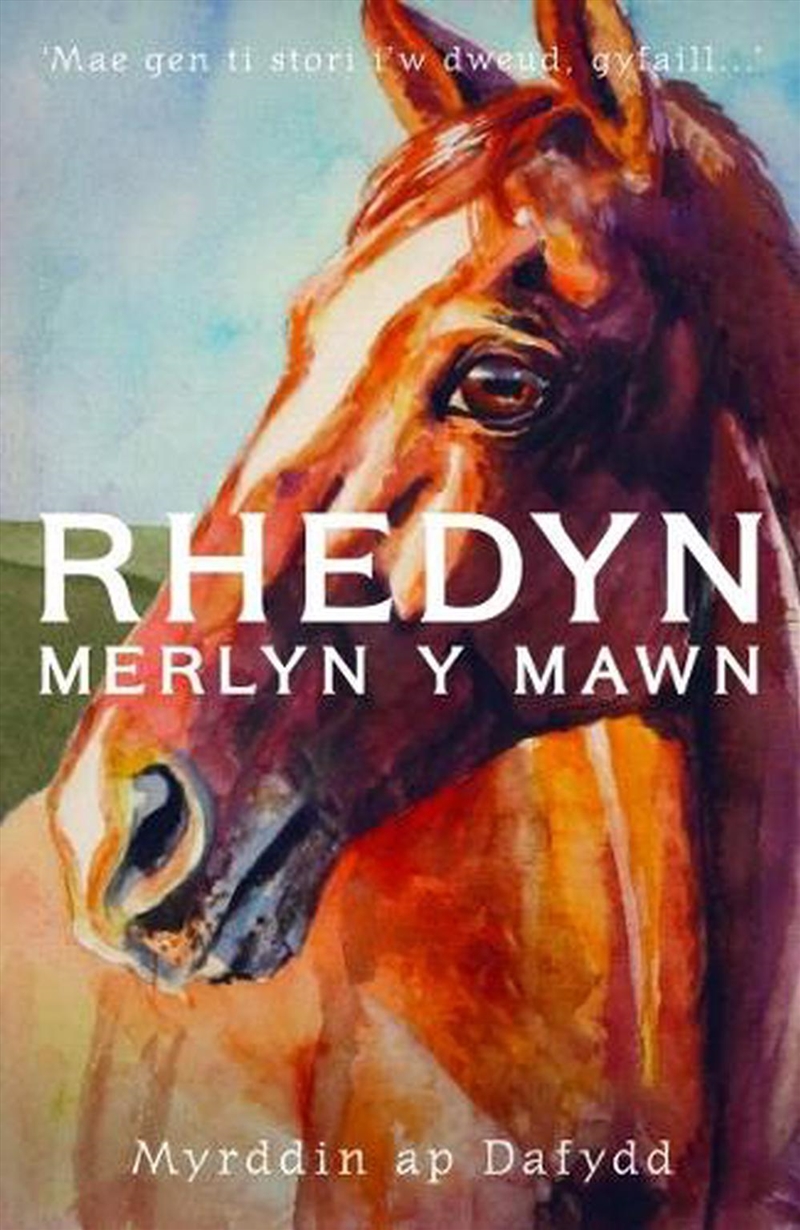Rhedyn Merlyn Y Mawn Ar Glo/Product Detail/Childrens Fiction Books