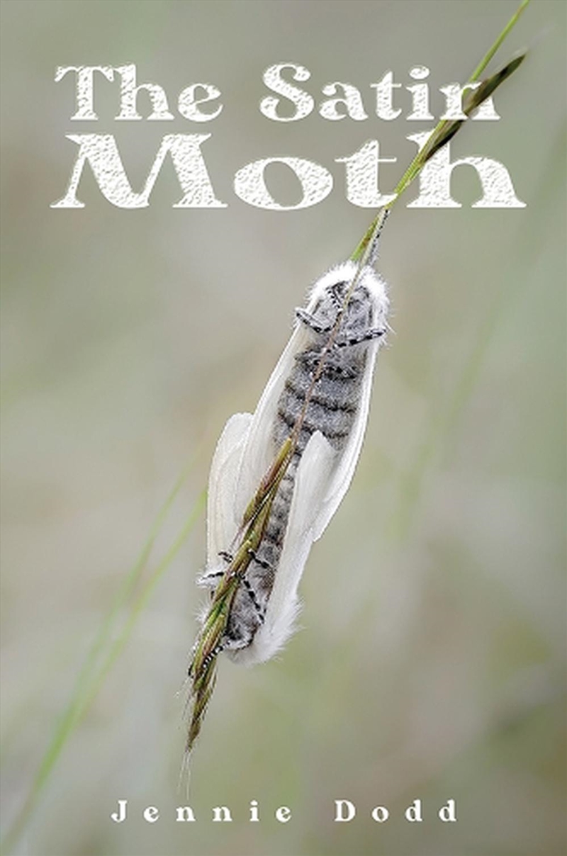 Satin Moth/Product Detail/Historical Fiction