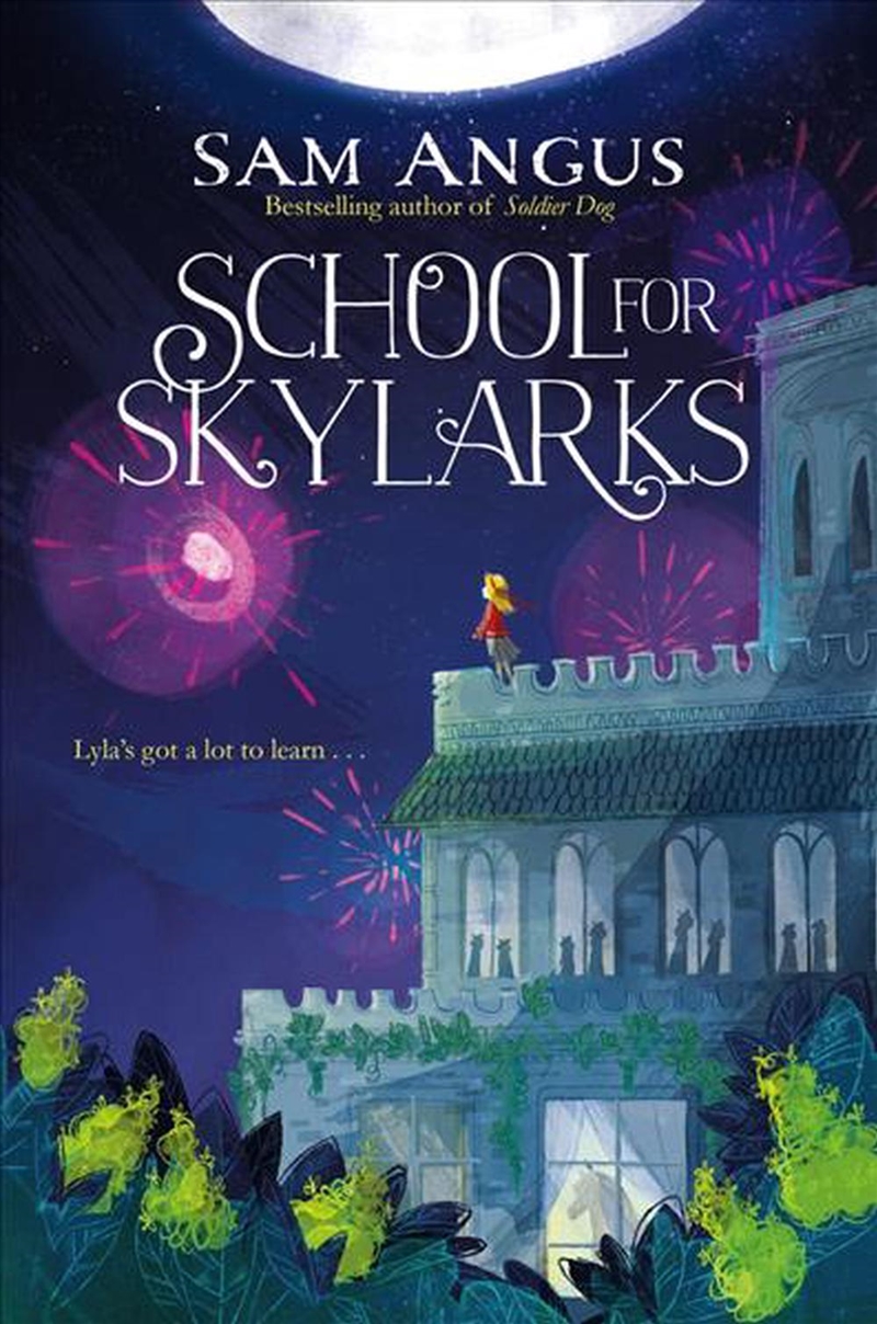 School For Skylarks/Product Detail/Childrens Fiction Books