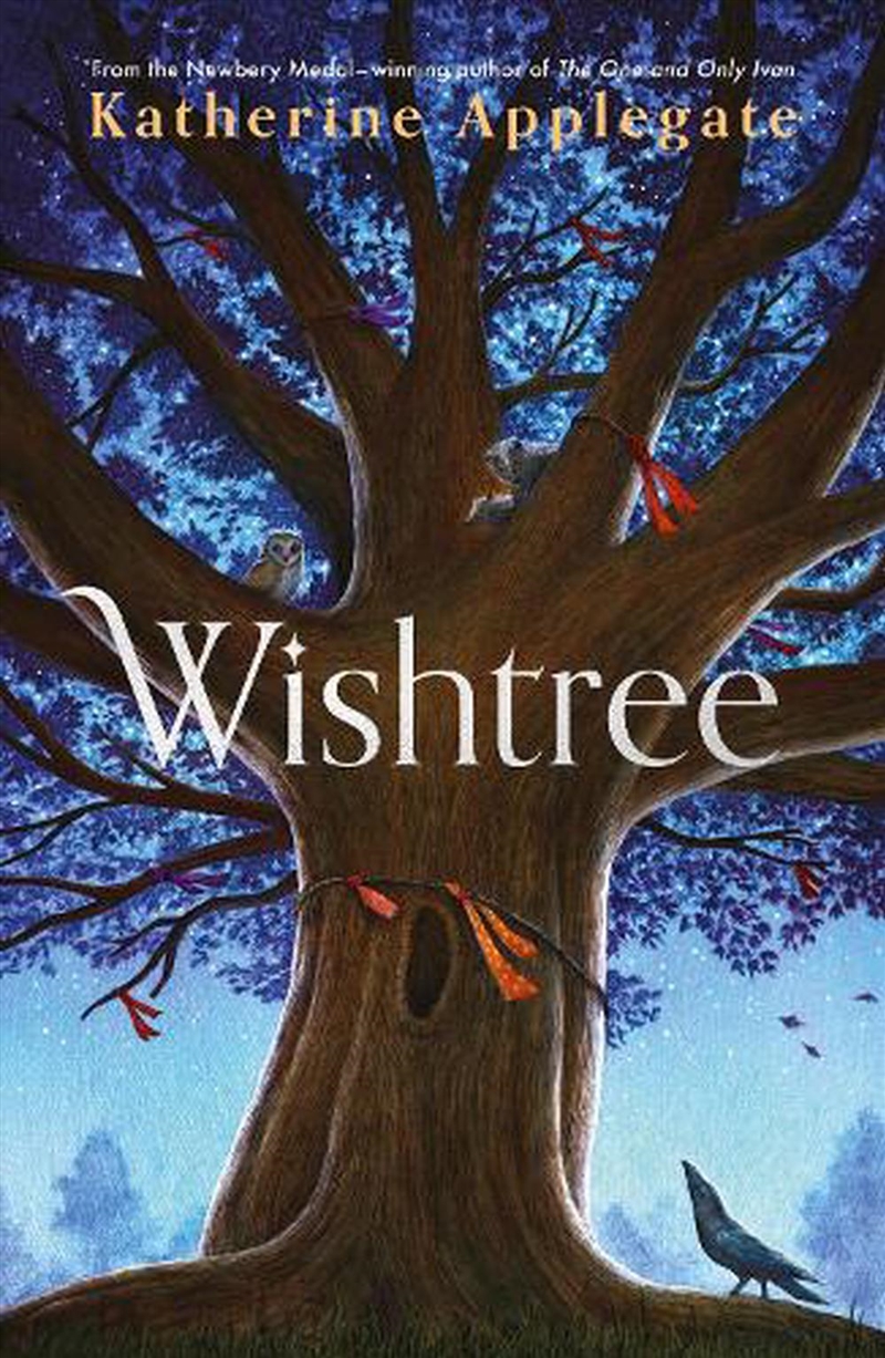 Wishtree/Product Detail/Childrens Fiction Books