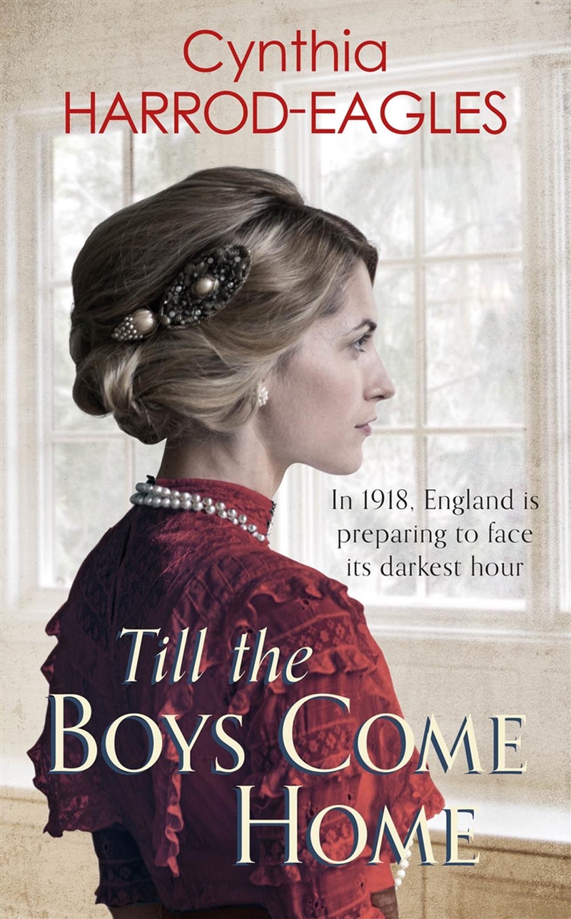 Till The Boys Come Home/Product Detail/Historical Fiction