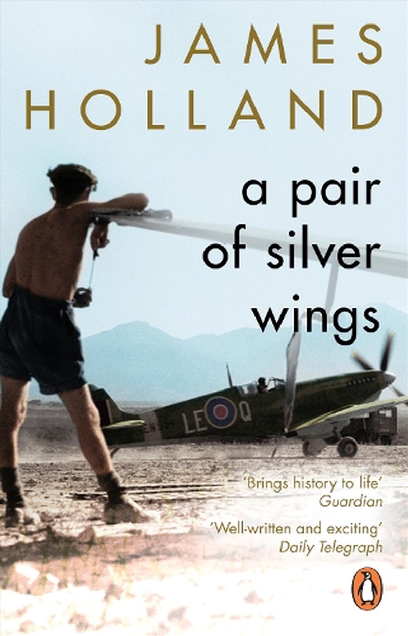 A Pair Of Silver Wings/Product Detail/Historical Fiction