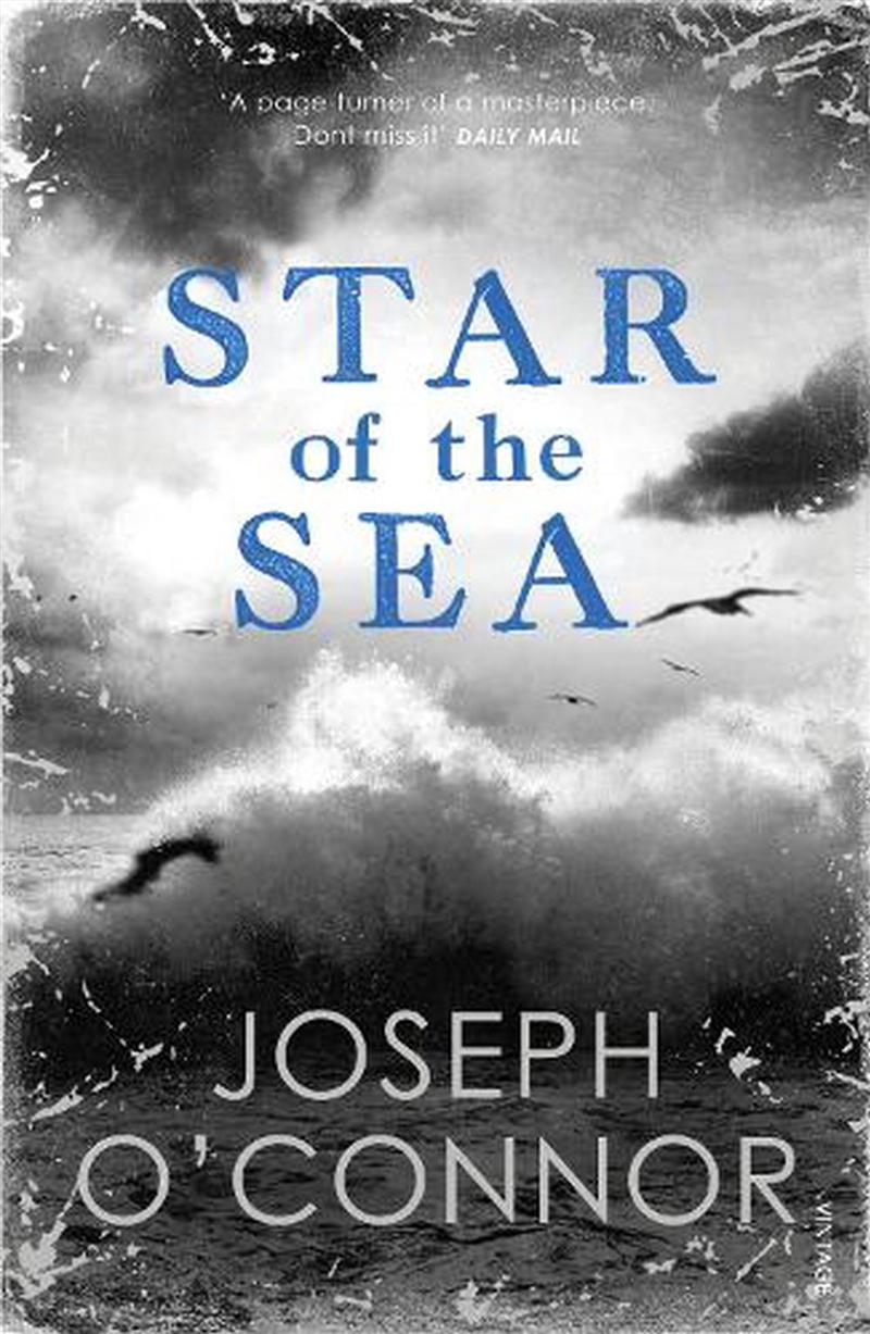 Star Of The Sea/Product Detail/Historical Fiction