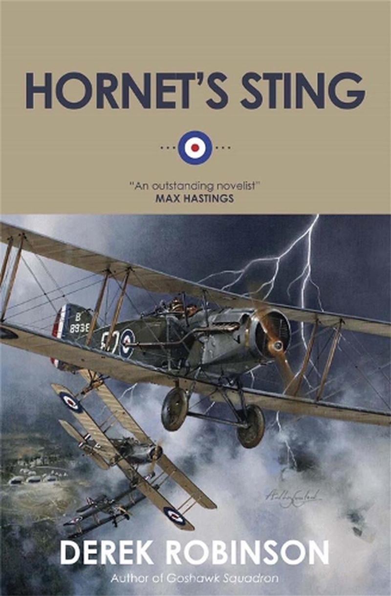 Hornets Sting/Product Detail/Historical Fiction