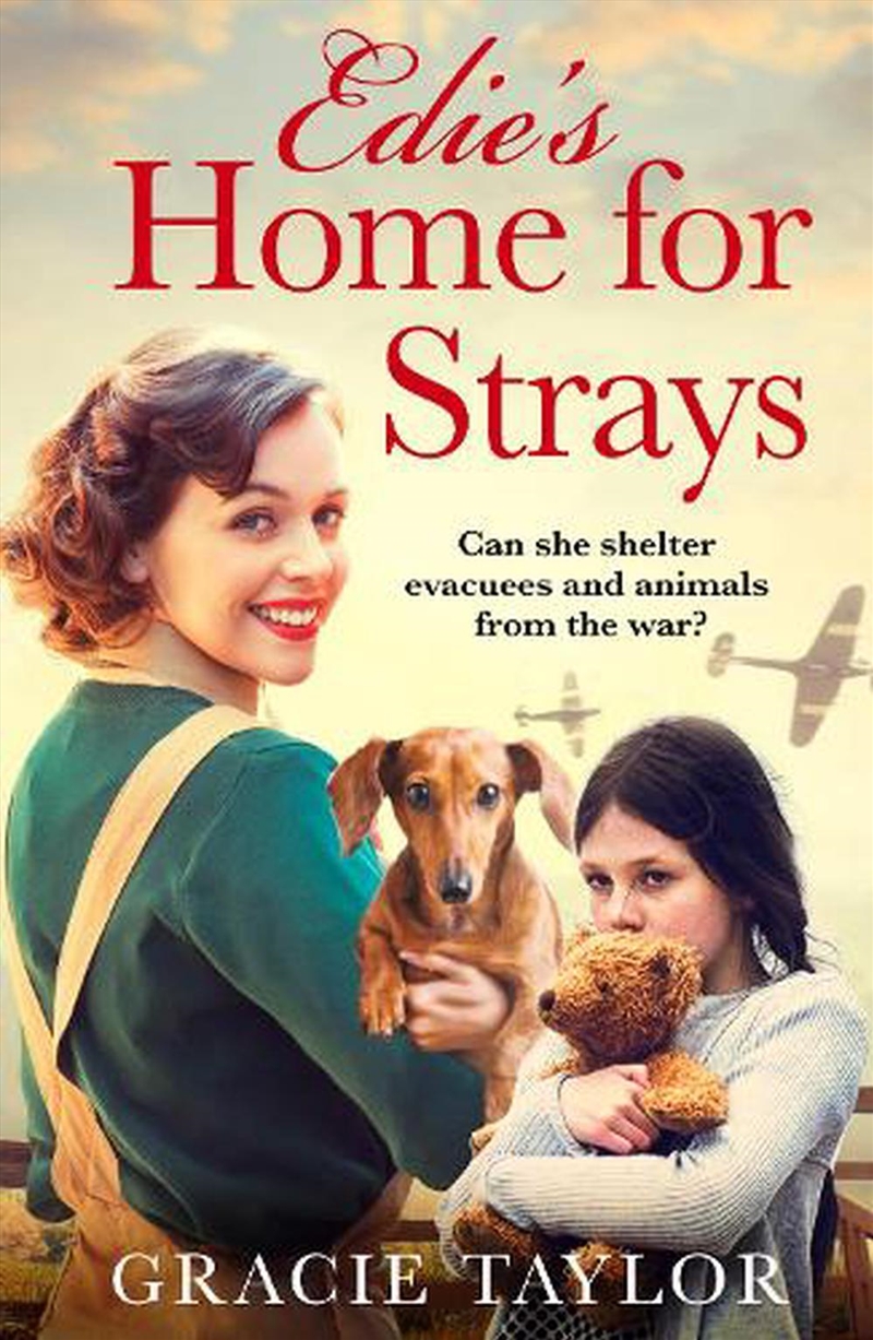 Edies Home For Strays/Product Detail/Historical Fiction