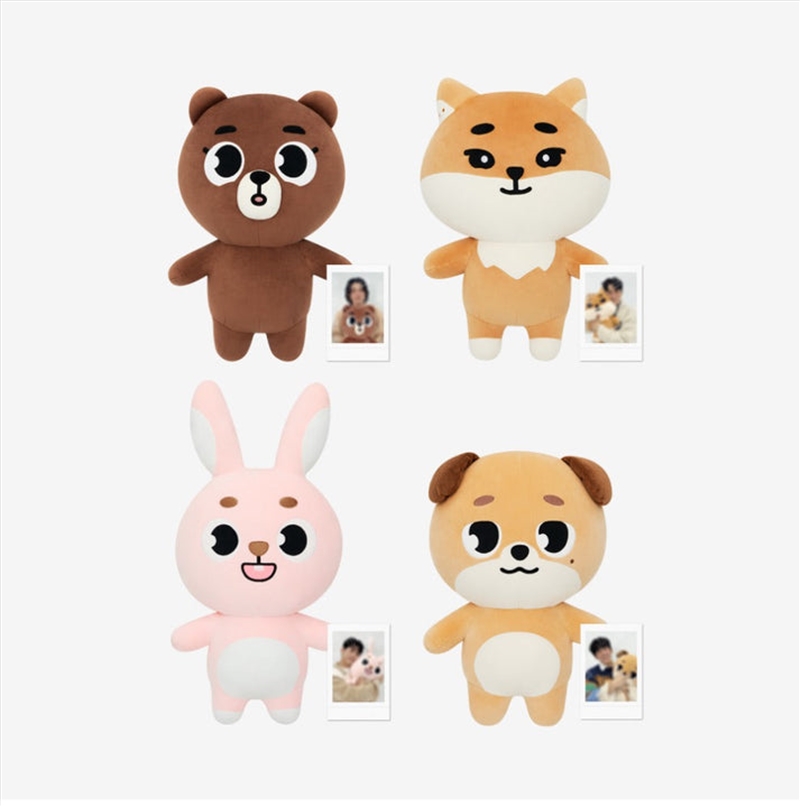 Day6 - The Present 2024 Special Concert Official Md Denimalz Plush Giant Ver Bang/Product Detail/KPOP Merch