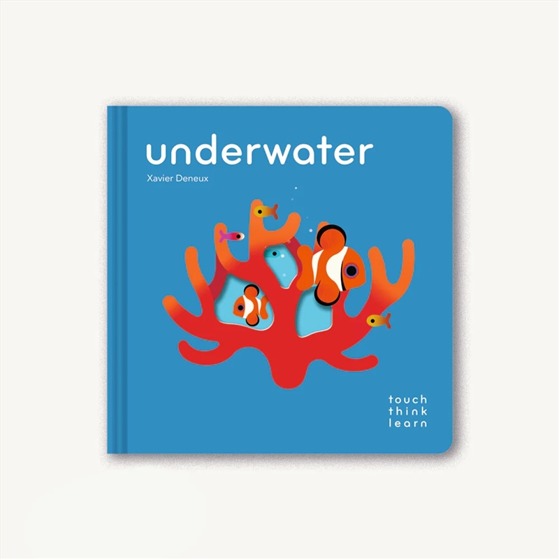 Touchthinklearn: Underwater/Product Detail/Childrens Fiction Books