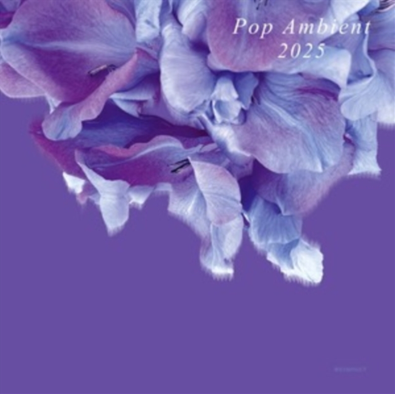 Pop Ambient 2025/Product Detail/Specialist