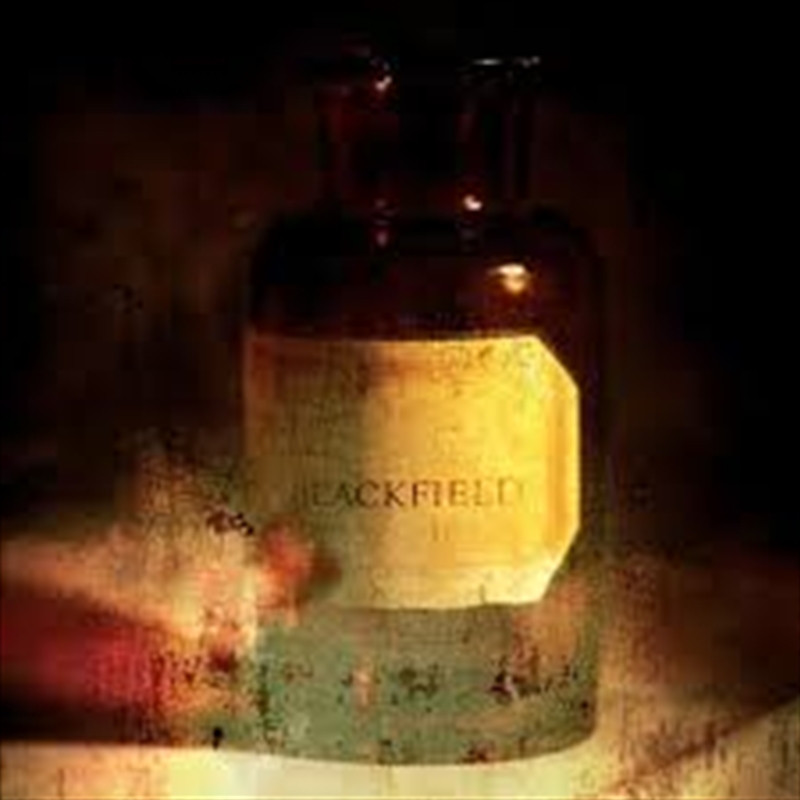 Blackfield (Marble Vinyl, 20Th Anniversary Edition, Limited)/Product Detail/Rock/Pop
