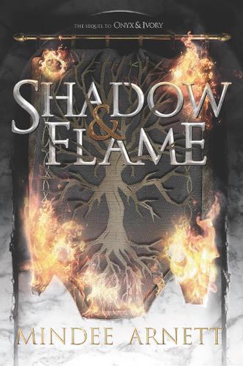 Shadow & Flame/Product Detail/Young Adult Fiction