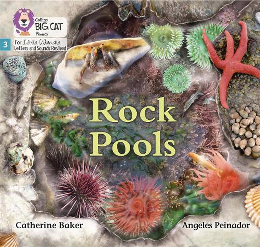 Rock Pools  - Phase 3 Set 1/Product Detail/Kids Educational
