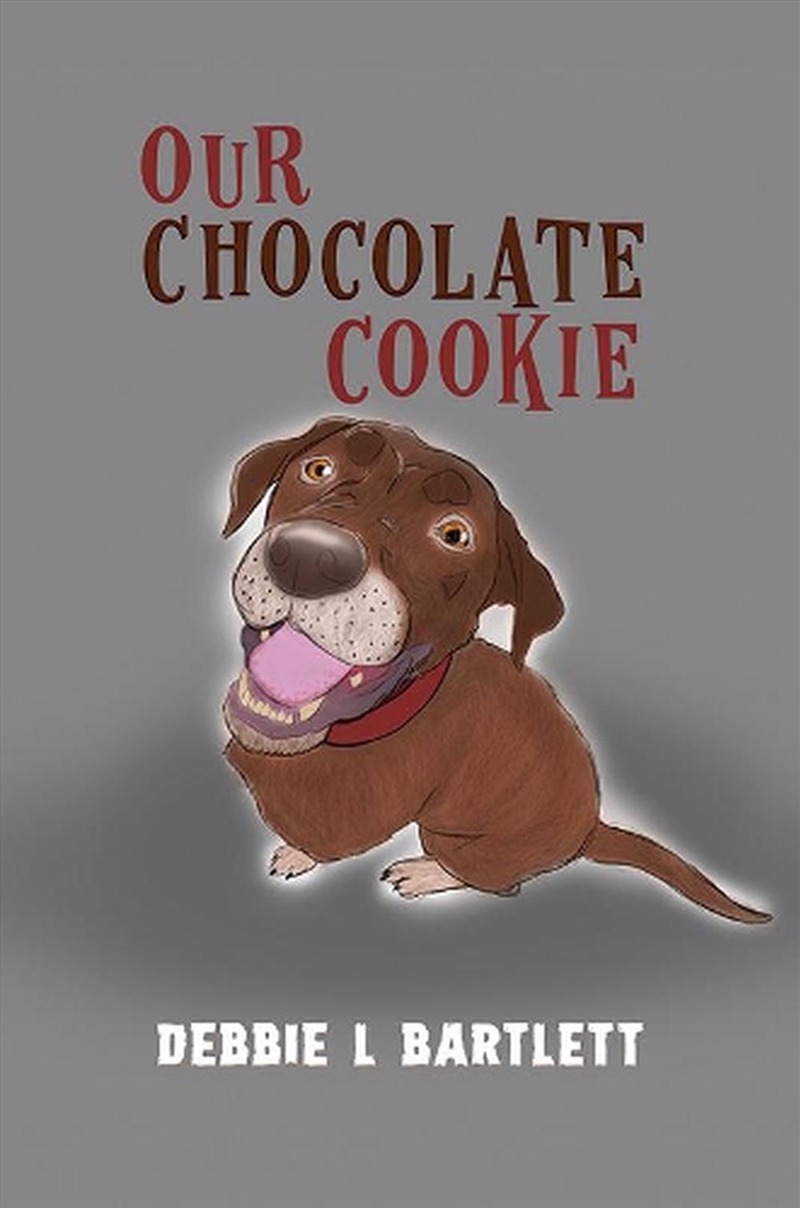 Our Chocolate Cookie/Product Detail/Early Childhood Fiction Books