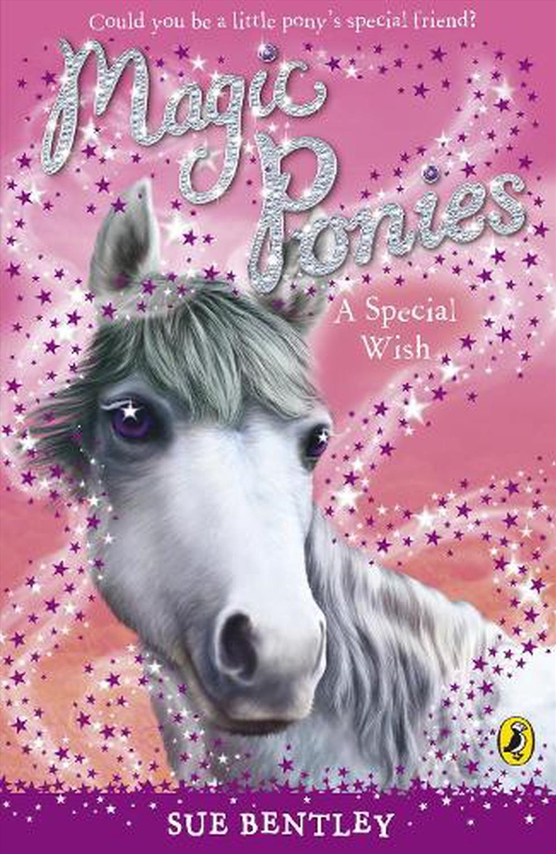Magic Ponies: A Special Wish/Product Detail/Childrens Fiction Books