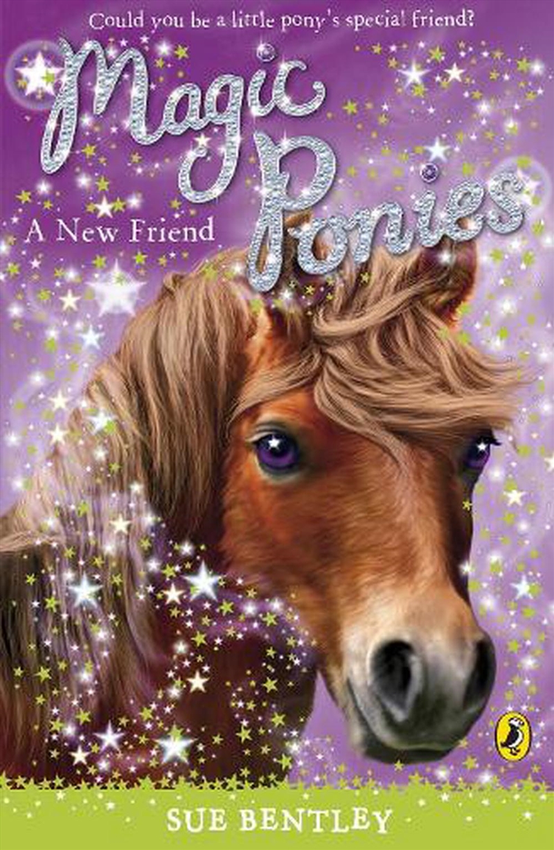 Magic Ponies: A New Friend/Product Detail/Childrens Fiction Books