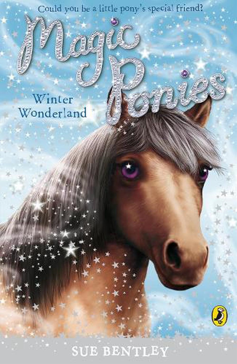 Magic Ponies: Winter Wonderland/Product Detail/Childrens Fiction Books