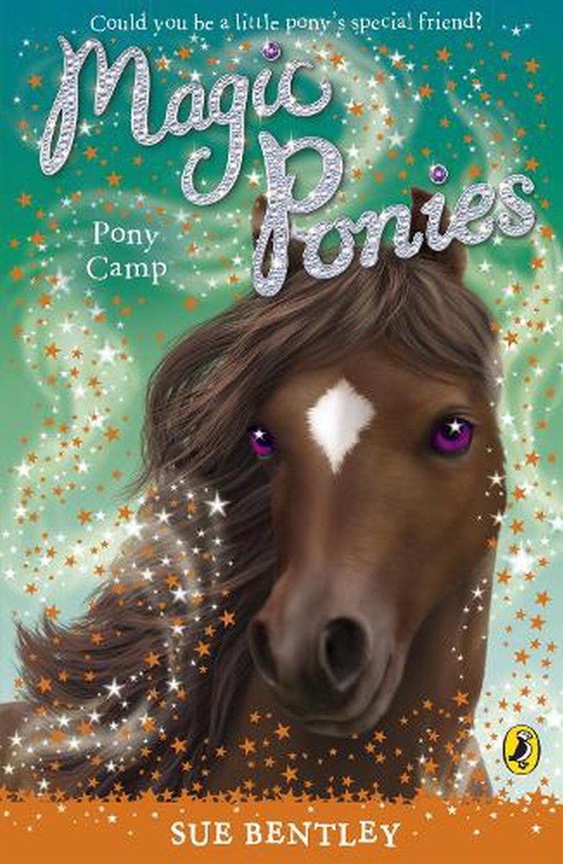 Magic Ponies: Pony Camp/Product Detail/Childrens Fiction Books