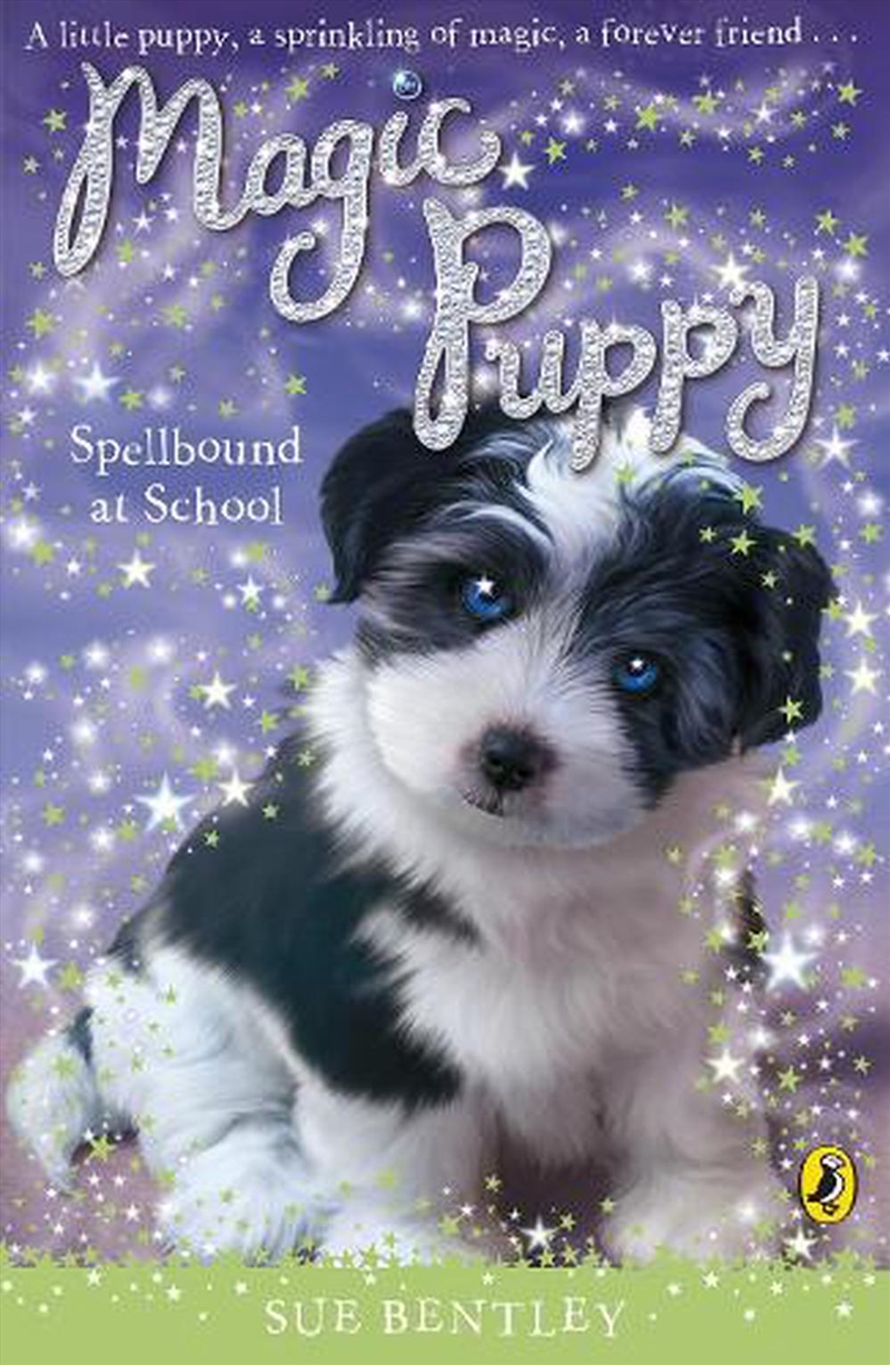 Magic Puppy: Spellbound At School/Product Detail/Childrens Fiction Books