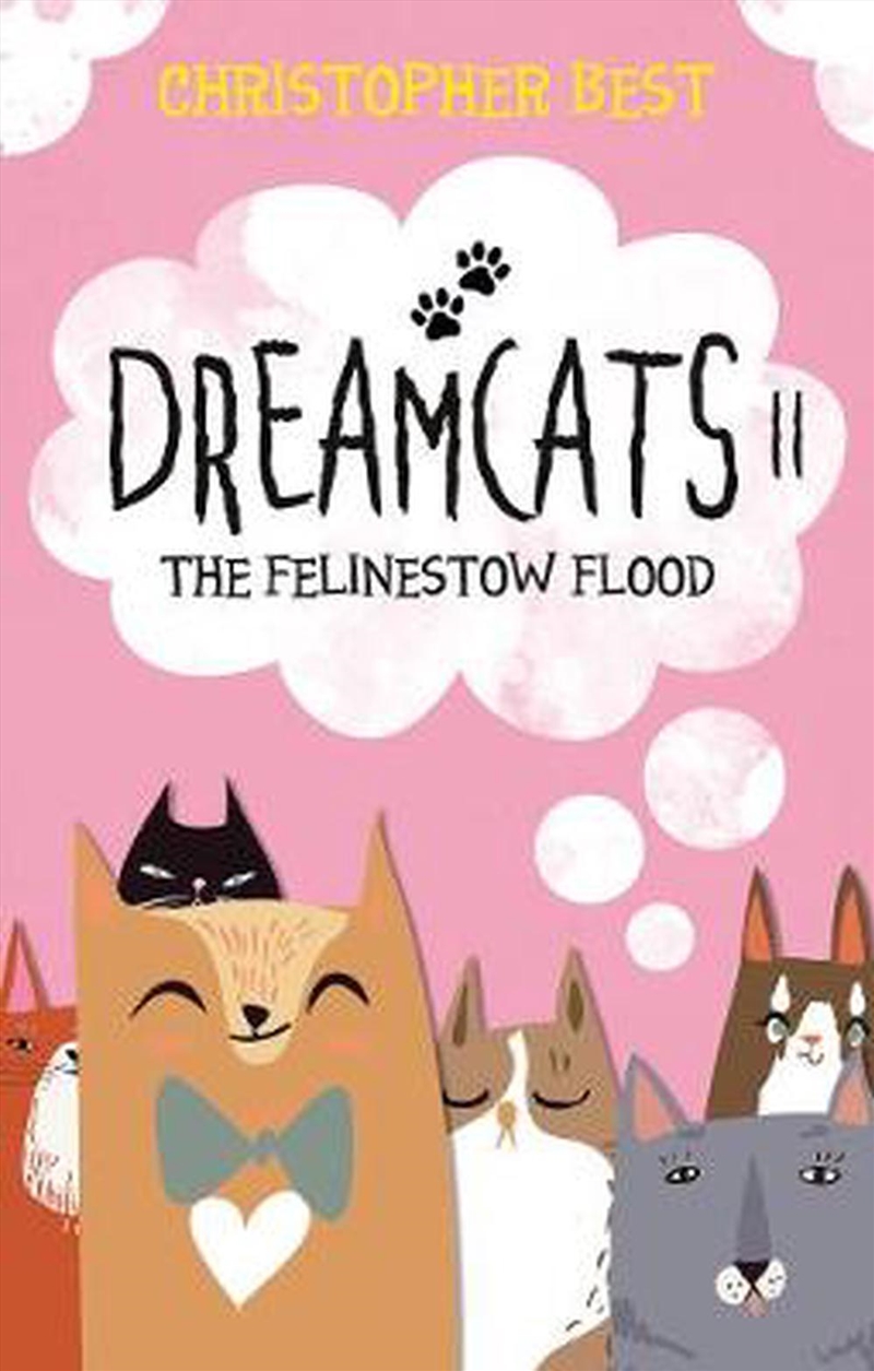 Dreamcats Ii : The Felinestow Flood/Product Detail/Childrens Fiction Books