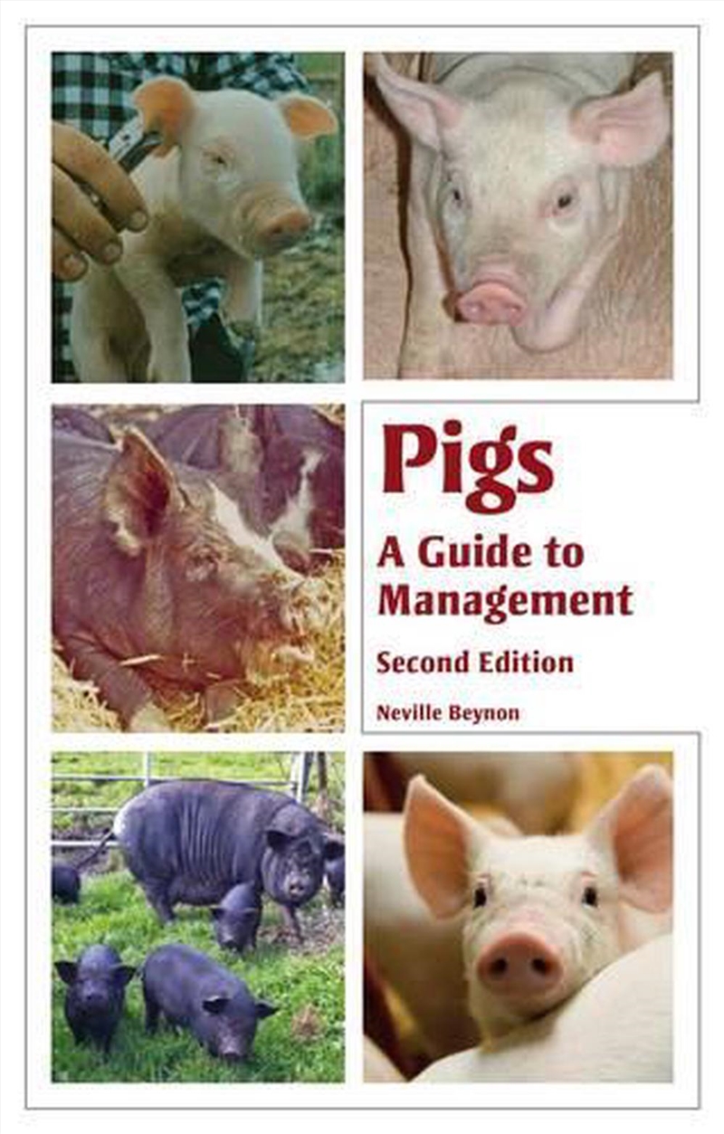 Pigs : A Guide To Management - Second Edition/Product Detail/Gardening