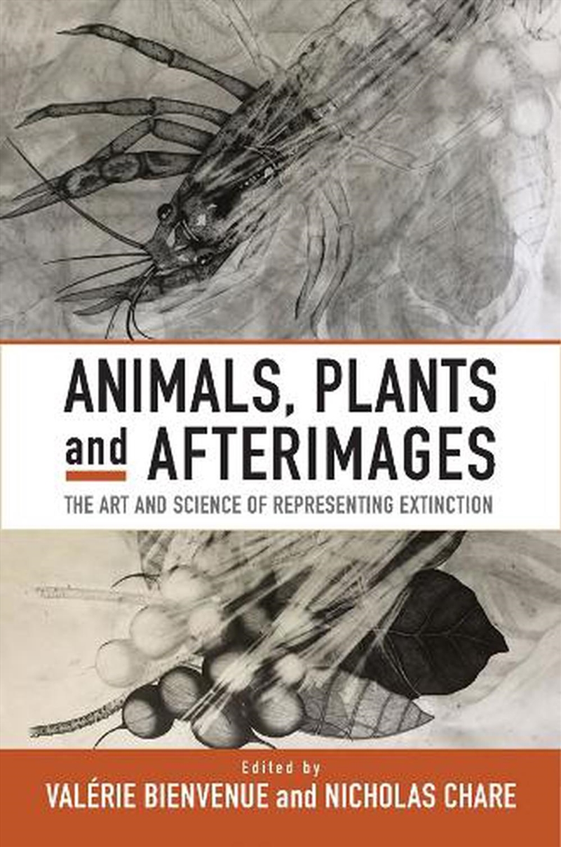 Animals, Plants And Afterimages : The Art And Science Of Representing Extinction/Product Detail/Arts & Entertainment