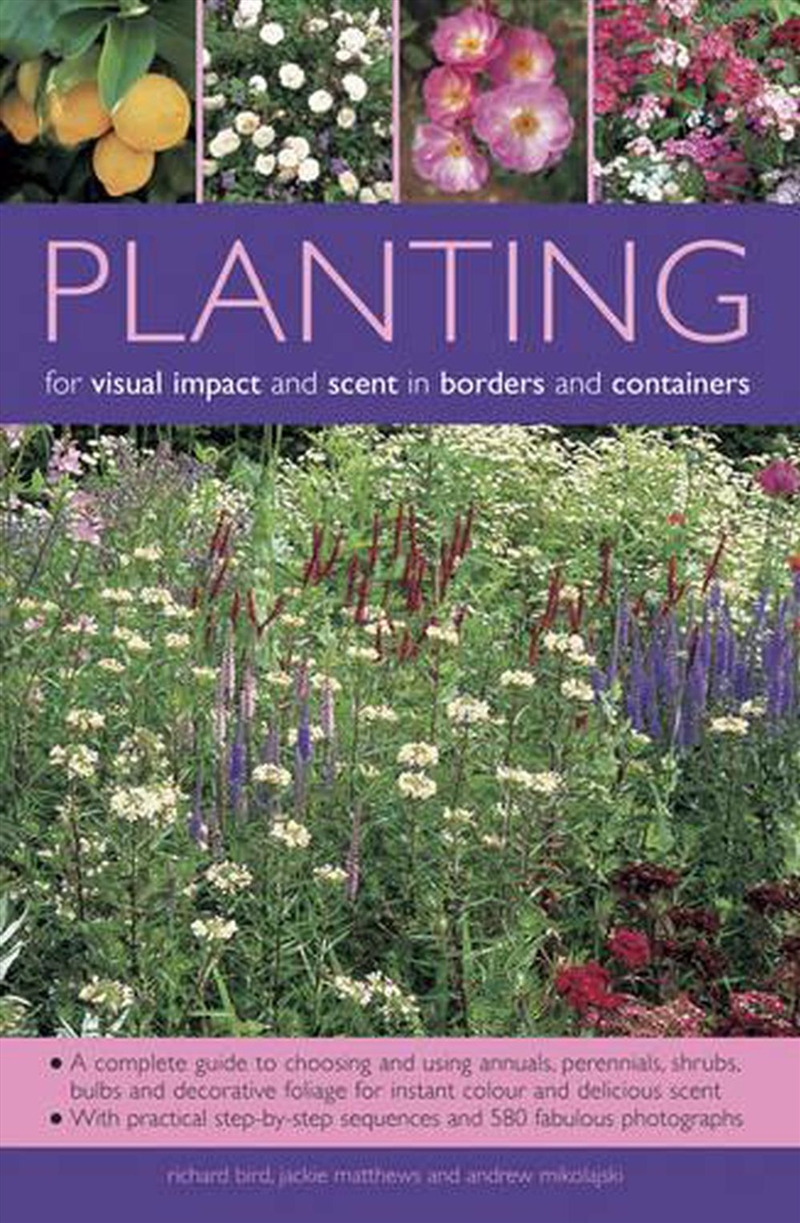Planting For Visual Impact And Scent In Borders And Containers : A Complete Guide To Choosing And Us/Product Detail/Gardening