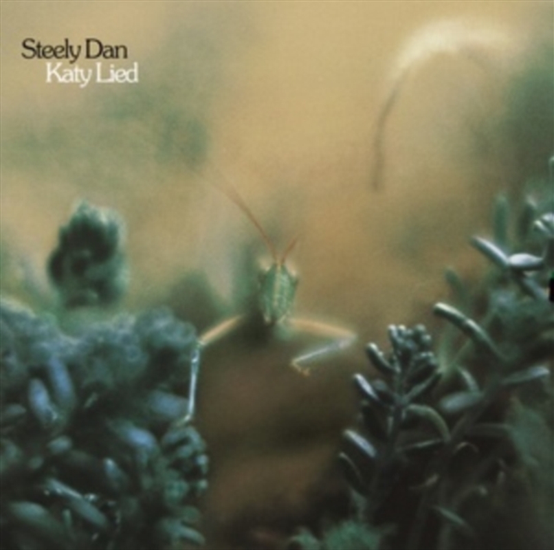 Katy Lied/Product Detail/Rock/Pop