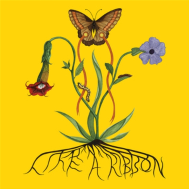 Like A Ribbon/Product Detail/Hip-Hop