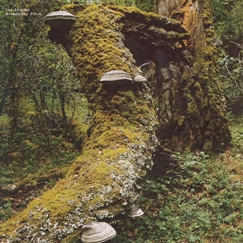 Kosmischer Pitch/Product Detail/Dance