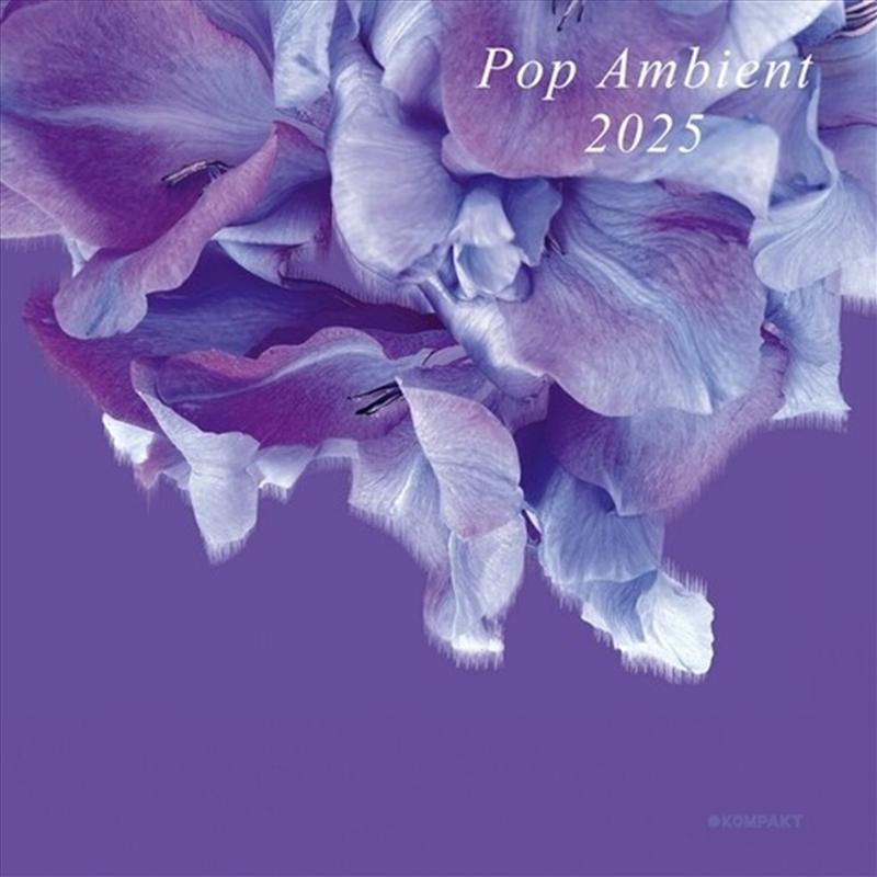 Pop Ambient 2025/Product Detail/Specialist