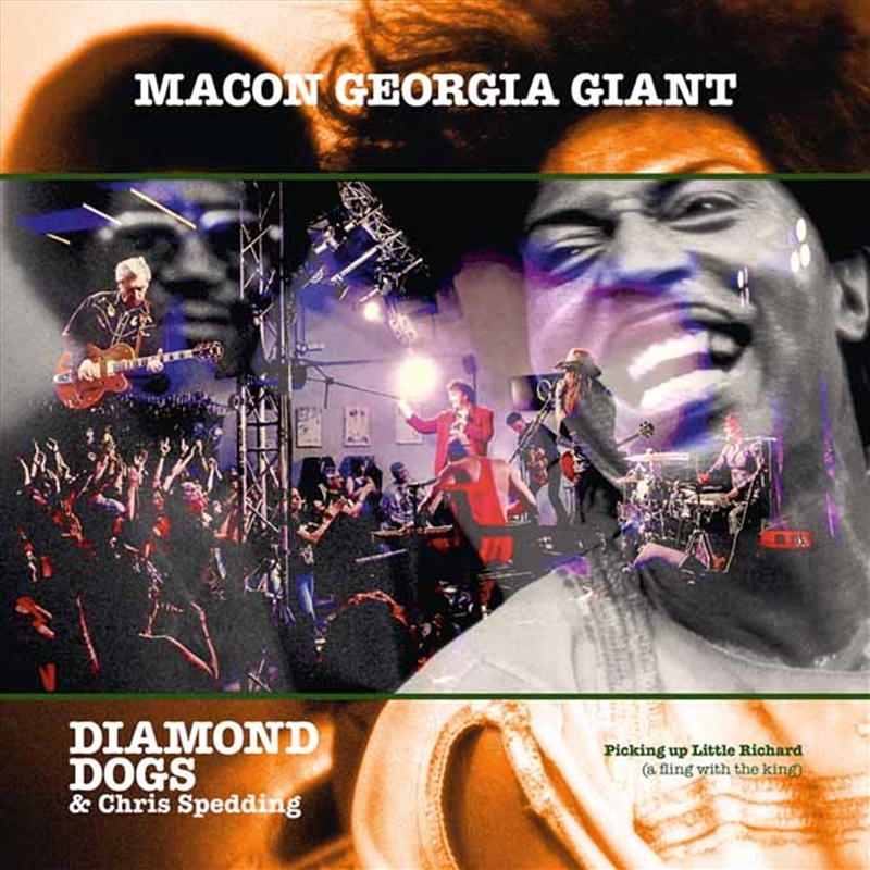 Macon Georgia Giants/Product Detail/Rock/Pop