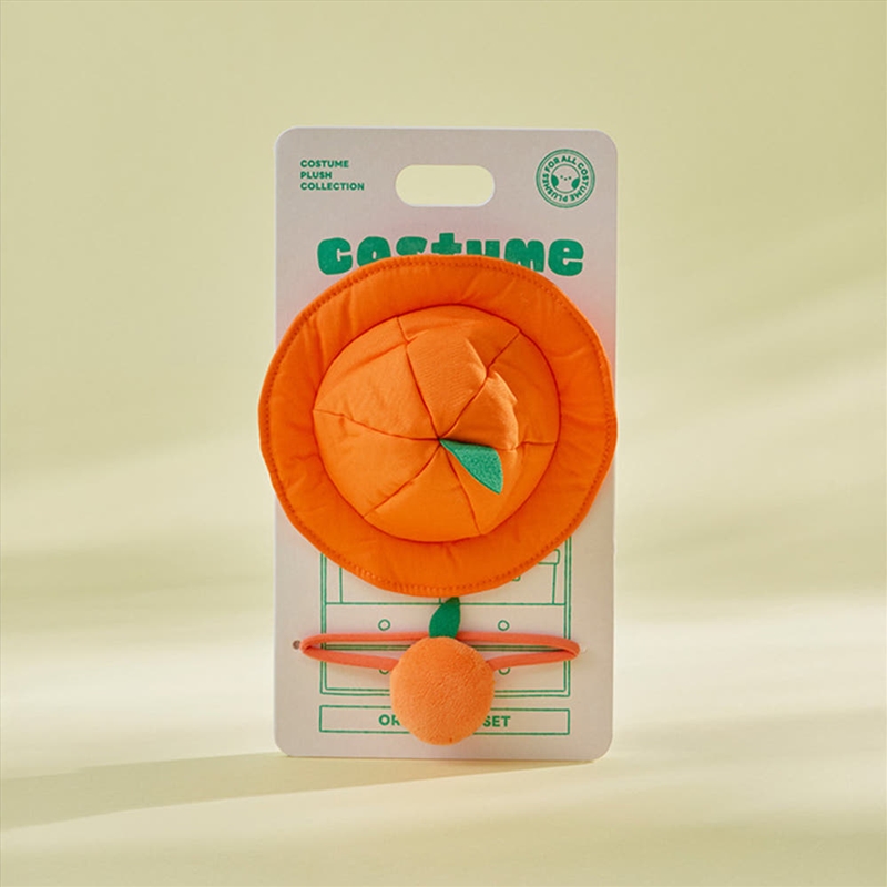 Bt21 - Orange Party Official Md Hood Cape Costume Closet/Product Detail/KPOP Merch