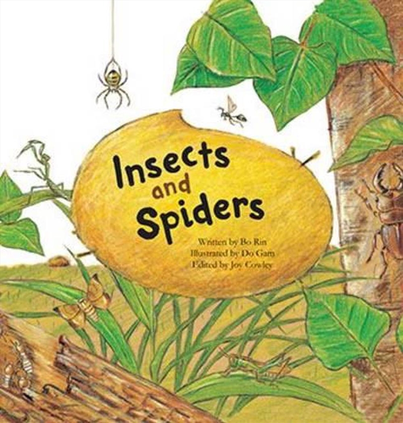 Insects And Spiders : Insects And Spiders/Product Detail/Kids Educational