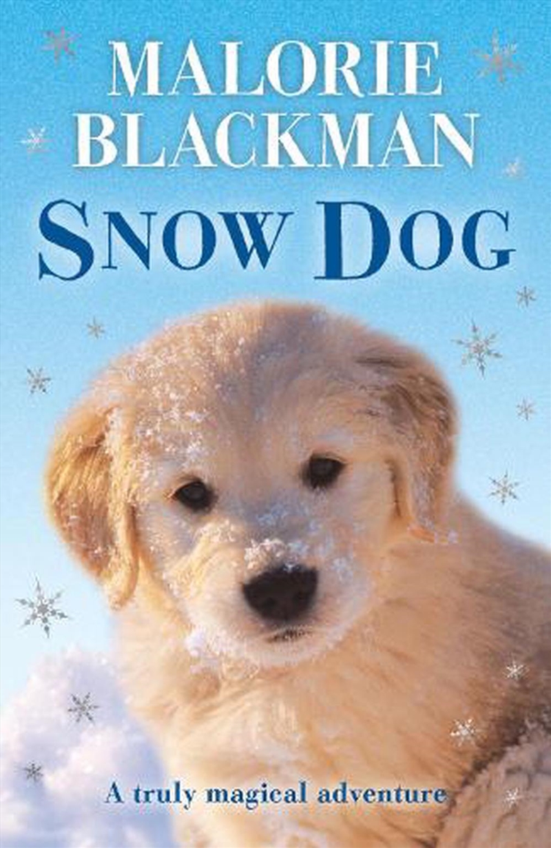 Snow Dog/Product Detail/Childrens Fiction Books