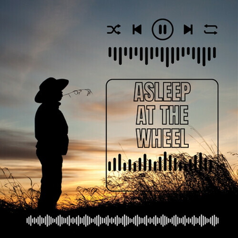 Asleep At The Wheel - Live/Product Detail/Country